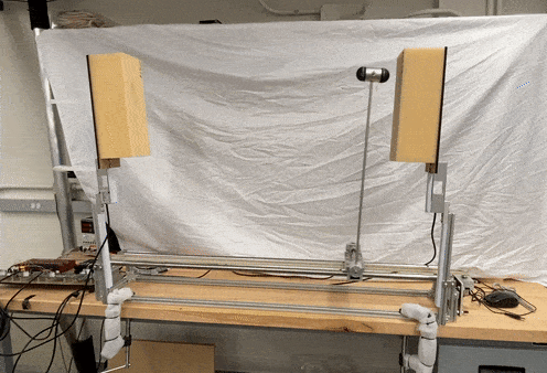 Cartpole demo preview